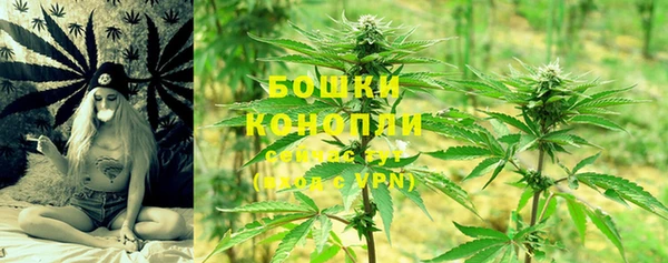 дмт Барнаул